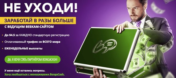 Earnings up to 4.5 dollars per registration